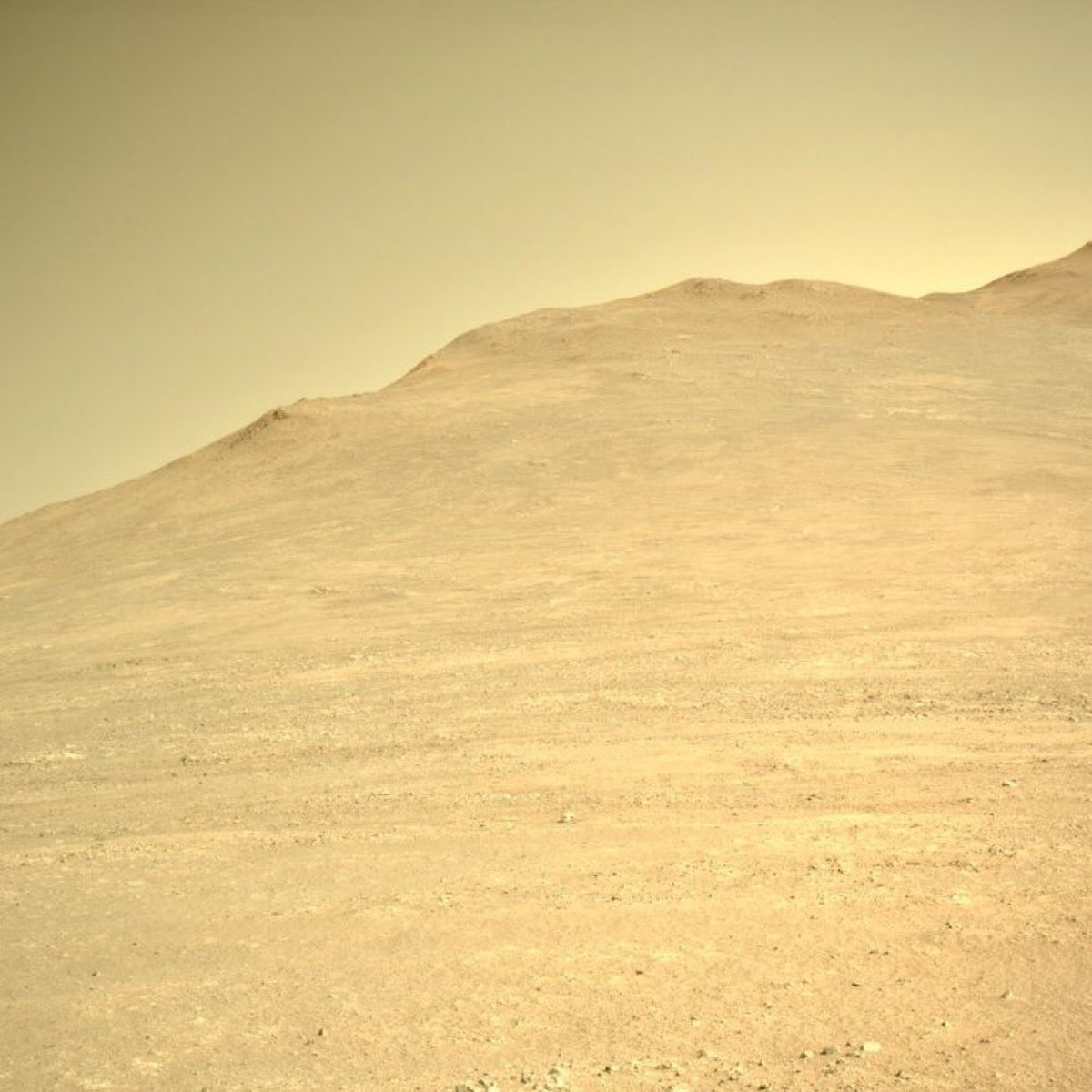 NASA'nın Mars'tan Paylaştığı Yeni Fotoğraf Bilim Dünyasında Heyecan Yarattı