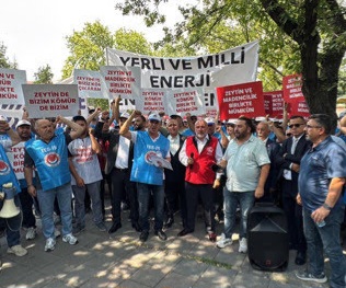 Maden Yasası'na Milas'tan Destek: Zeytincilik ve Madencilik Birlikte Yaşamaya Devam Ediyor