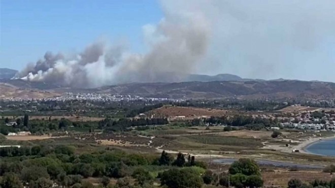 İzmir'de Orman Yangını: Seferihisar'da Kontrol Zor!