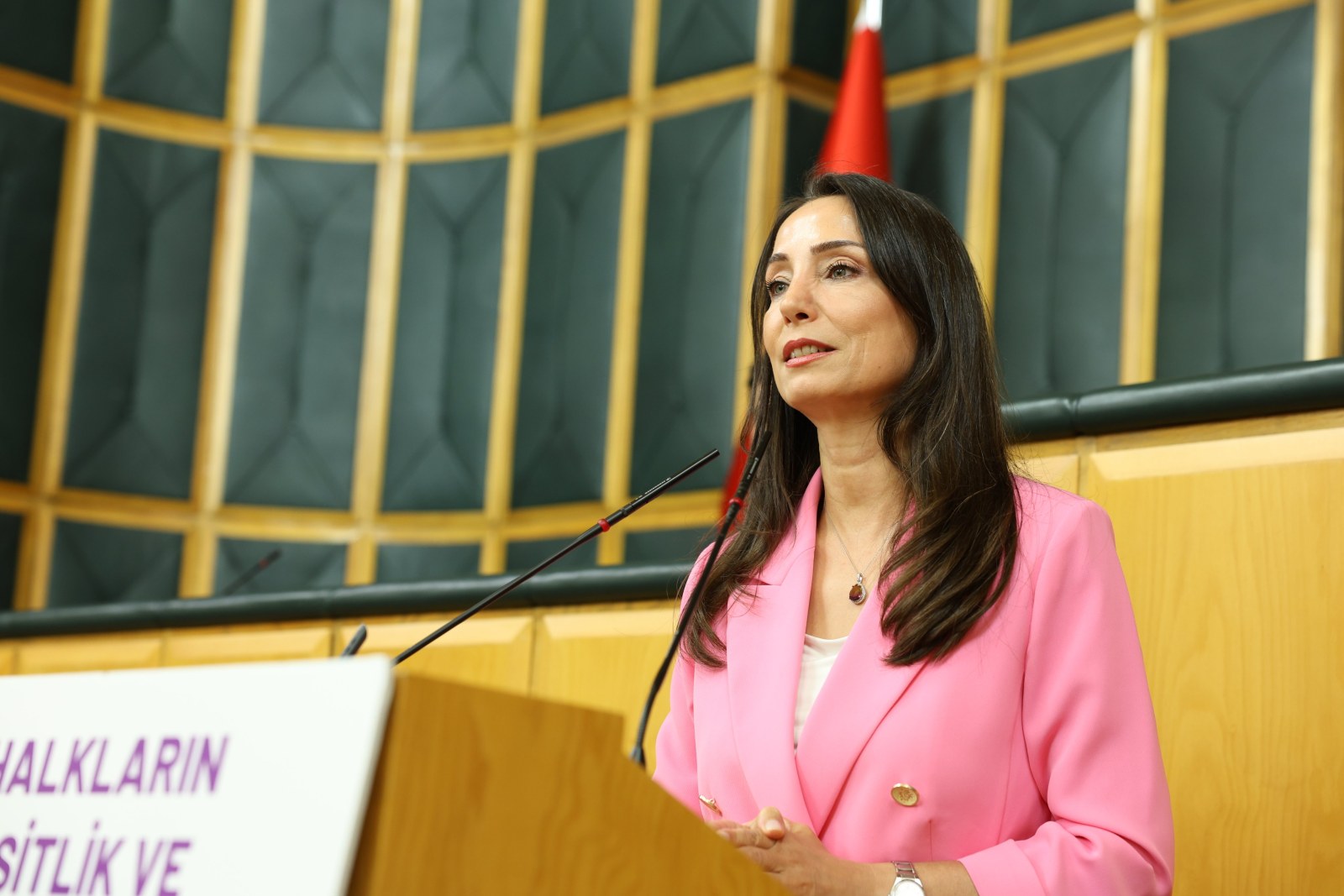 Hatimoğulları: 'Barışın Hukuki Zemini Gecikmeden Kurulmalı, Türkiye Demokratikleşmeli'