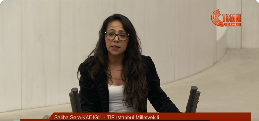 Sera Kadıgil’den AK Parti’ye Sert Çıkış: 'Yarım Milyon Çocuk Suça Karışıyorsa Bu Çöküştür'
