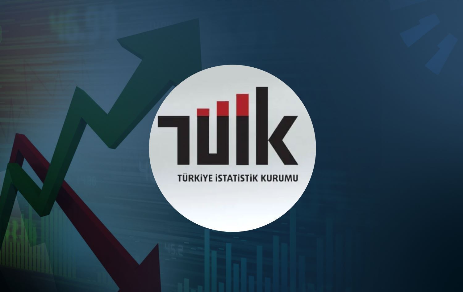 TÜİK verileri, 2024 Yılı Maddi Yatırım Harcamalarını Açıkladı.