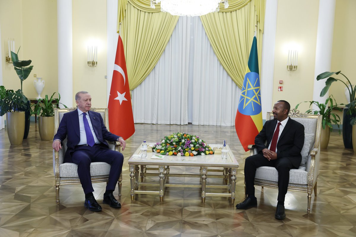 Erdoğan'dan Etiyopya'da Tarihi Ziyaret: 'Afrika Boynuzu Yabancı Güçlerin Mücadele Alanı Olmamalı'